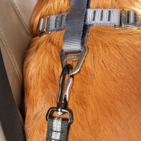 Swivel Tether mit ISOFIX-Direktverbindung