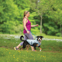 Kühlweste für Hunde