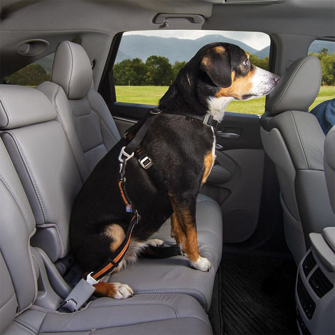 Hunde Sicherheitsgurt Auto, Hunde Sicherheitsgurt, 3-In-1 Hundegurt Fürs  Auto, Anschnallgurt Hund Auto Reflektierend Bungee Hundegurt mit Haken für