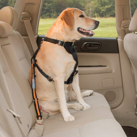 TinyPaw Hunde-Sicherheitsgurte für Autos, verstellbar, mit  Anti-Schock-Puffer, stabiler Karabiner, Isofix und Verriegelung :  : Haustier