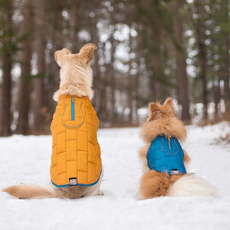 Kurgo jacket outlet