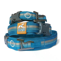 RSG Hundehalsband