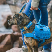 RSG Hundehalsband